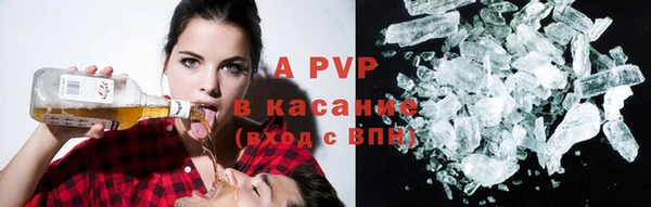 стафф Новозыбков