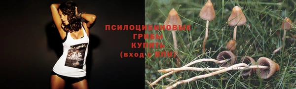 MDMA Новокубанск