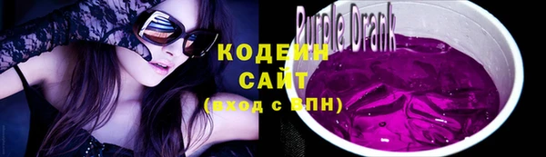 стафф Новозыбков