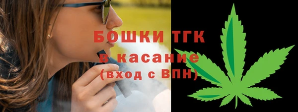стафф Новозыбков