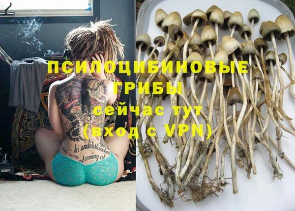 PSILOCYBIN Новодвинск