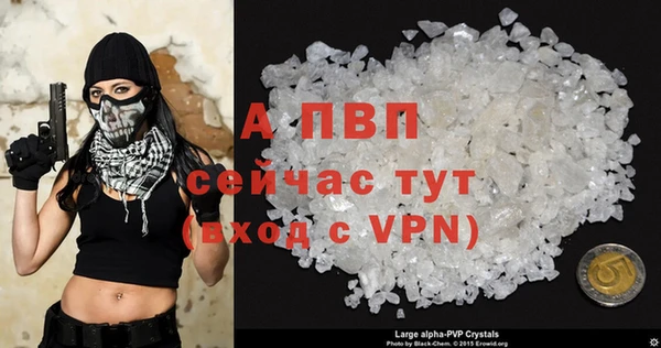 стафф Новозыбков