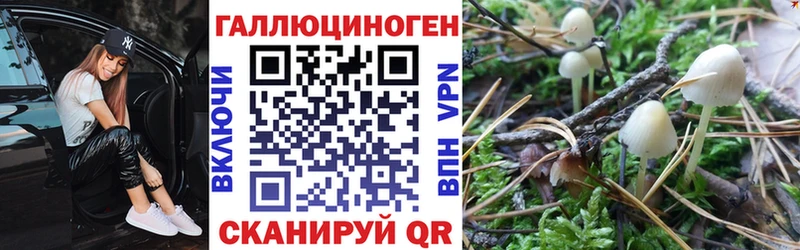 Псилоцибиновые грибы GOLDEN TEACHER  Лесозаводск 