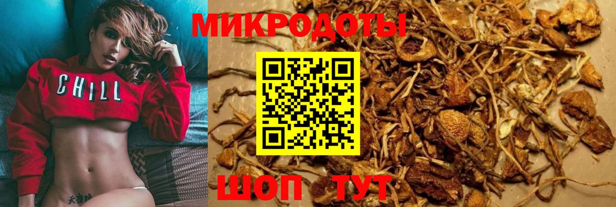 Лесозаводск  Псилоцибиновые грибы Psilocybe  Псилоцибиновые грибы Psilocybine cubensis  Вход с VPN 