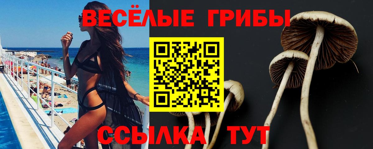 Галлюциногенные грибы MAGIC MUSHROOMS Лесозаводск