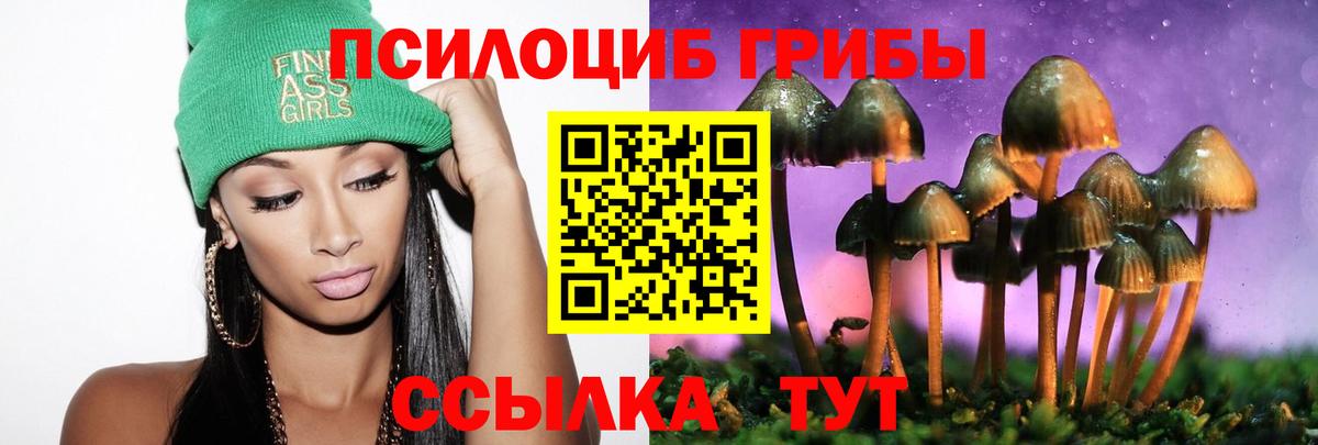 Галлюциногенные грибы Cubensis Лесозаводск