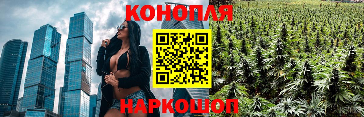 ГАШ Лесозаводск